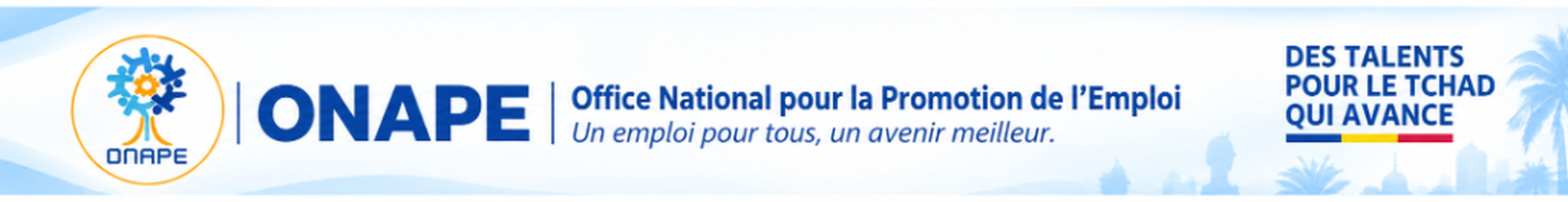 ONAPE - Office National pour la Promotion de l'Emploi : Des talents pour le Tchad qui avance