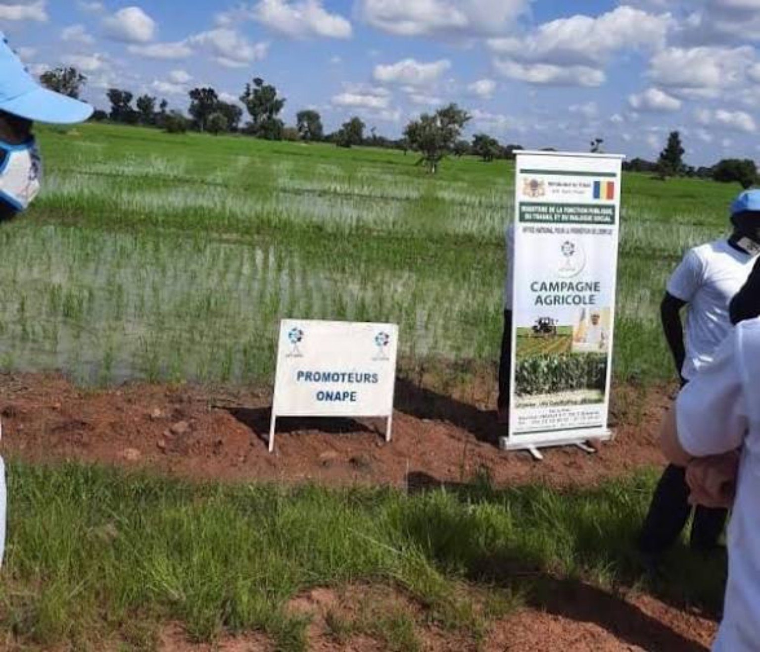 Terrain agricole et campagne d’accompagnement ONAPE